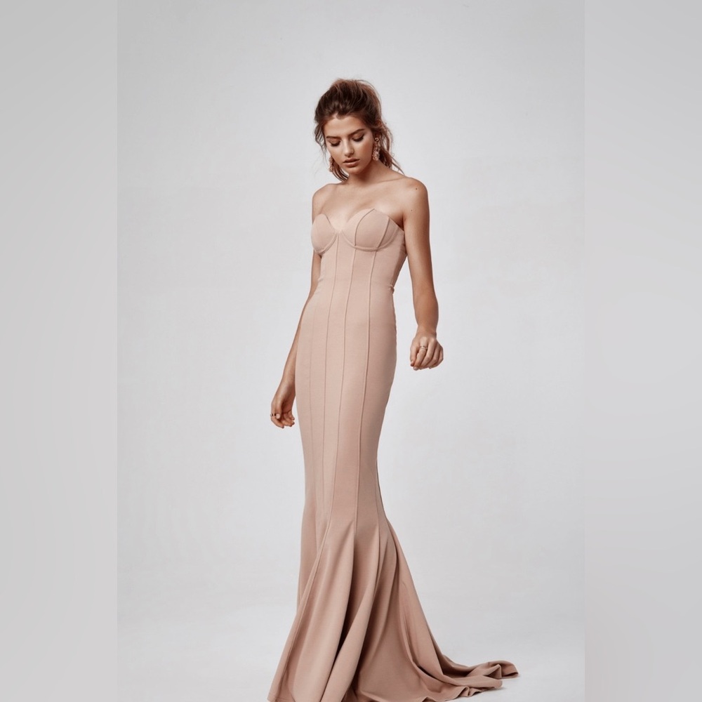 Lexi NWT sz 6 Blush Dress